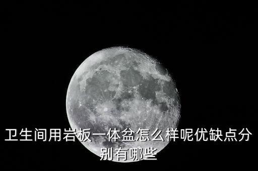 雙盆巖板衛(wèi)浴圖片及價(jià)格