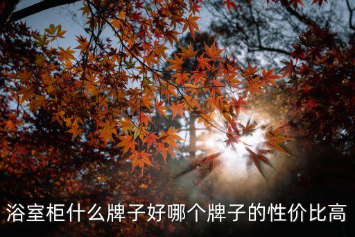 浴室柜什么牌子好哪個(gè)牌子的性價(jià)比高