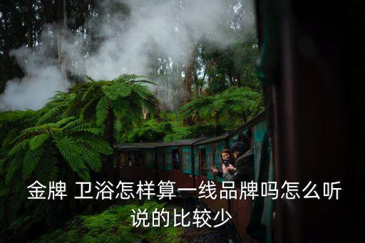 金牌 衛(wèi)浴怎樣算一線品牌嗎怎么聽說(shuō)的比較少