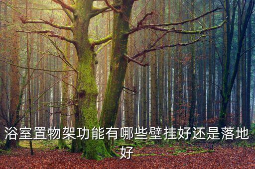 打掃衛(wèi)浴神器圖片欣賞