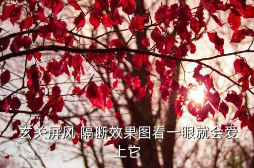 玄關隔斷衛(wèi)浴圖片大全新款,鐵藝玄關隔斷圖片大全