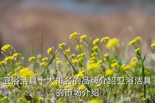 衛(wèi)浴潔具十大排名的品牌介紹衛(wèi)浴潔具的市場介紹