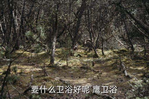 要什么衛(wèi)浴好呢 鷹衛(wèi)浴