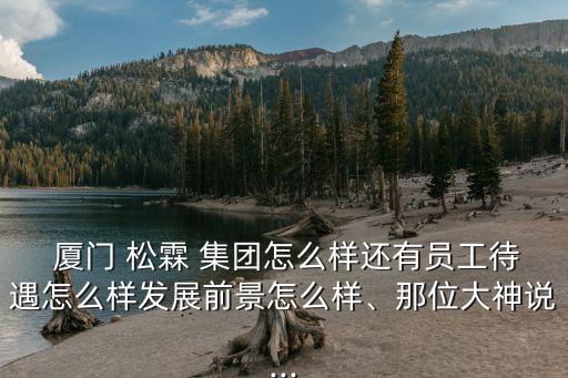  廈門 松霖 集團(tuán)怎么樣還有員工待遇怎么樣發(fā)展前景怎么樣、那位大神說...