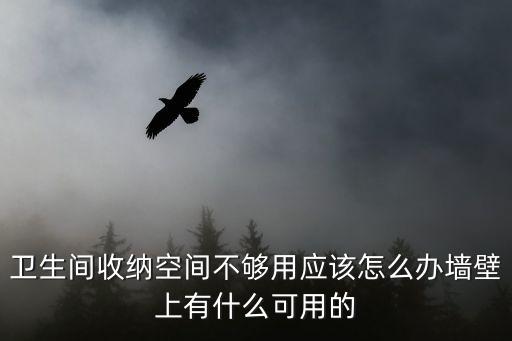 衛(wèi)生間收納空間不夠用應(yīng)該怎么辦墻壁上有什么可用的