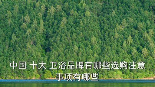 中國 十大 衛(wèi)浴品牌有哪些選購注意事項有哪些