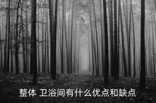 整體 衛(wèi)浴間有什么優(yōu)點和缺點