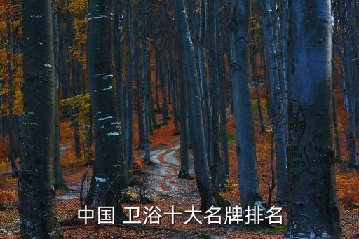 4個字的衛(wèi)浴品牌,中國十大衛(wèi)浴品牌有哪些