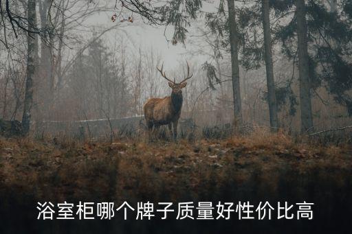 浴室柜哪個(gè)牌子質(zhì)量好性價(jià)比高
