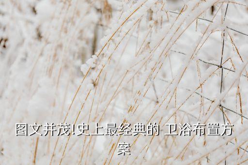 衛(wèi)浴裝飾品搭配圖片大全