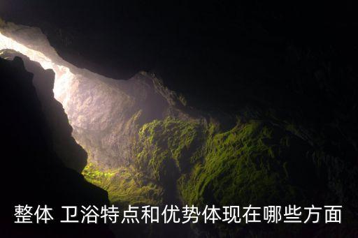 整體 衛(wèi)浴特點和優(yōu)勢體現(xiàn)在哪些方面