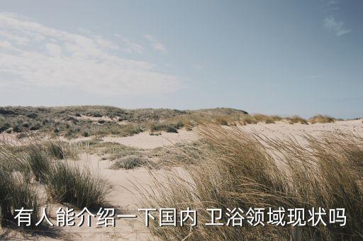 有人能介紹一下國內(nèi) 衛(wèi)浴領(lǐng)域現(xiàn)狀嗎