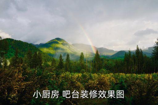 小廚房 吧臺(tái)裝修效果圖