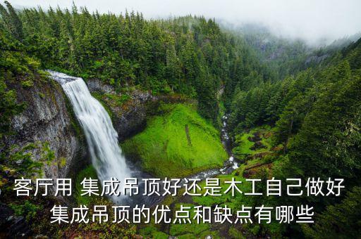 集成衛(wèi)浴的好處和壞處圖片