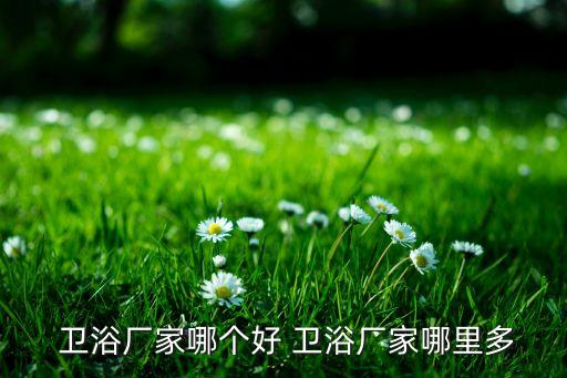  衛(wèi)浴廠家哪個(gè)好 衛(wèi)浴廠家哪里多