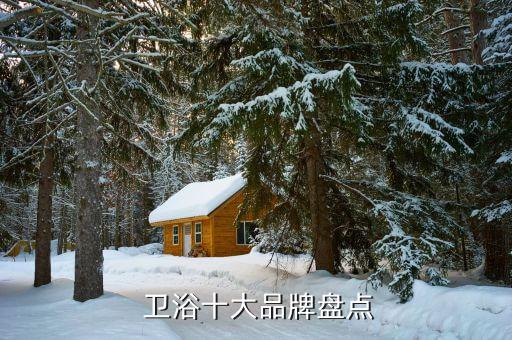 民洗衛(wèi)浴是幾線品牌