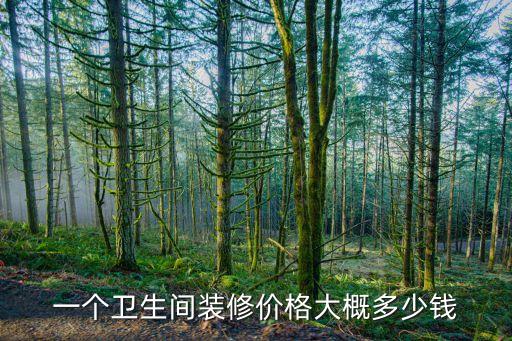 一個衛(wèi)生間裝修價格大概多少錢