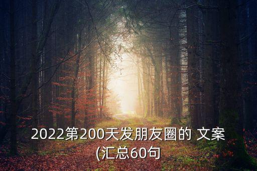 2022第200天發(fā)朋友圈的 文案(匯總60句