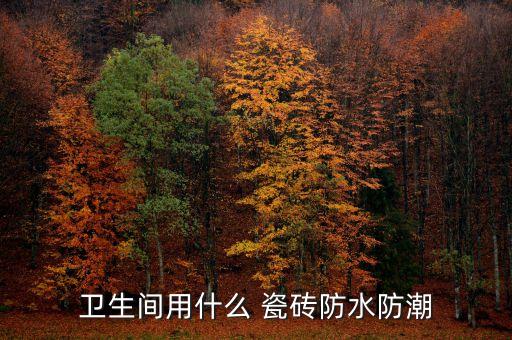衛(wèi)生間用什么 瓷磚防水防潮