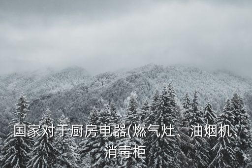 國家對于廚房電器(燃?xì)庠睢⒂蜔煓C(jī)、消毒柜