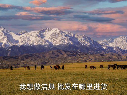 我想做潔具 批發(fā)在哪里進貨