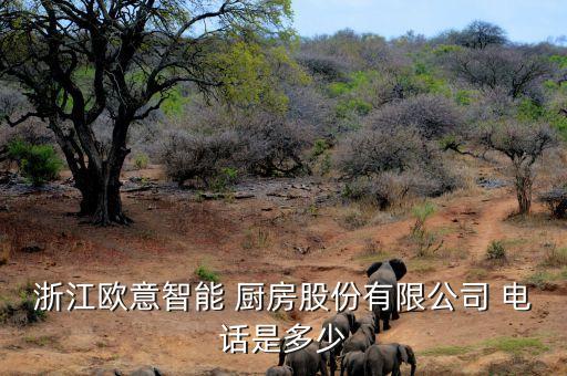 浙江歐意智能 廚房股份有限公司 電話是多少