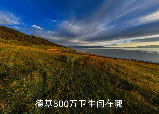德基800萬衛(wèi)生間在哪