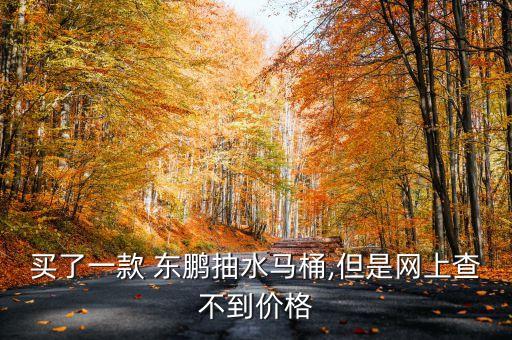 買了一款 東鵬抽水馬桶,但是網(wǎng)上查不到價(jià)格