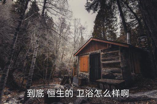 到底 恒生的 衛(wèi)浴怎么樣啊
