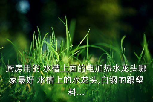 廚房用的 水槽上面的電加熱水龍頭哪家最好 水槽上的水龍頭,白鋼的跟塑料...