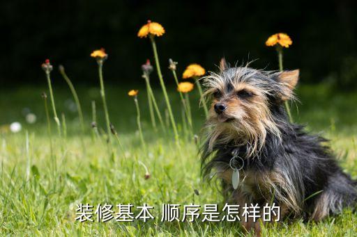 裝修基本 順序是怎樣的