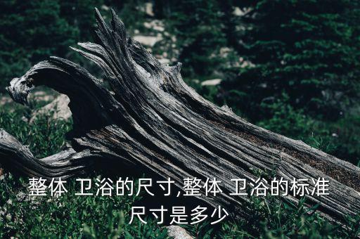 衛(wèi)浴設(shè)計(jì)3平多大合適圖片,請(qǐng)問(wèn)衛(wèi)生間的衛(wèi)浴怎么設(shè)計(jì)合適