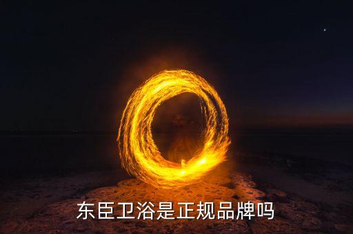 東臣衛(wèi)浴是正規(guī)品牌嗎