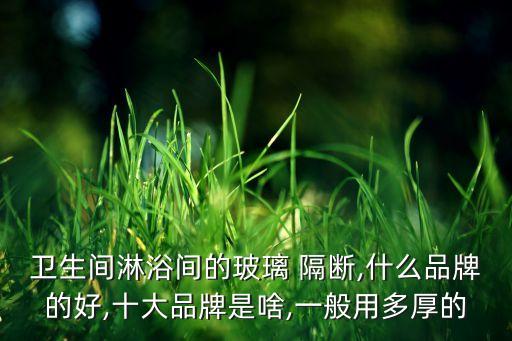 衛(wèi)生間淋浴間的玻璃 隔斷,什么品牌的好,十大品牌是啥,一般用多厚的