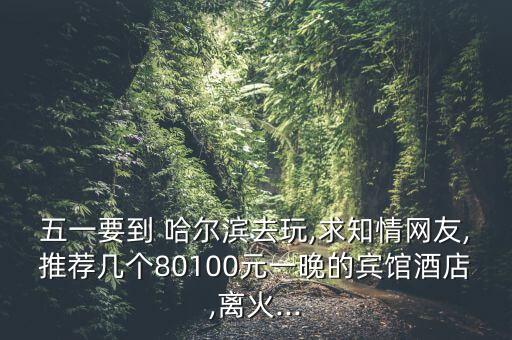 五一要到 哈爾濱去玩,求知情網(wǎng)友,推薦幾個(gè)80100元一晚的賓館酒店,離火...