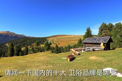 請問一下國內(nèi)的十大 衛(wèi)浴品牌是哪些