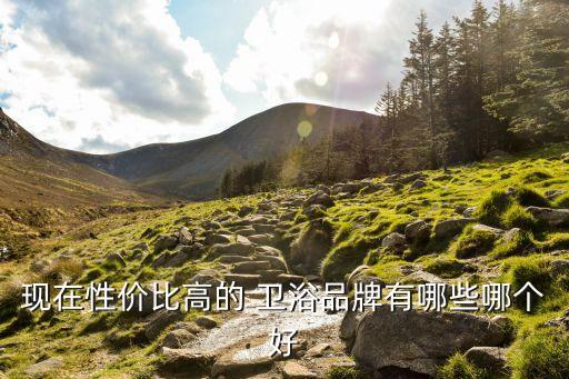 品牌折扣衛(wèi)浴有哪些