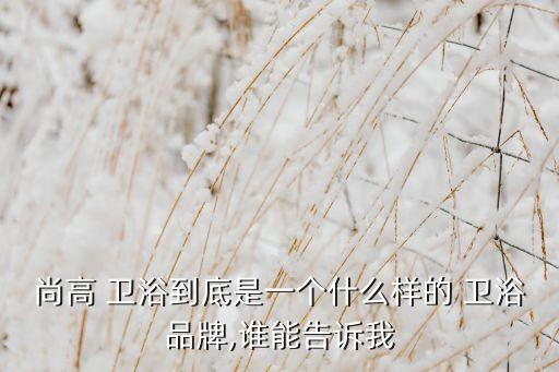 尚高 衛(wèi)浴到底是一個什么樣的 衛(wèi)浴品牌,誰能告訴我