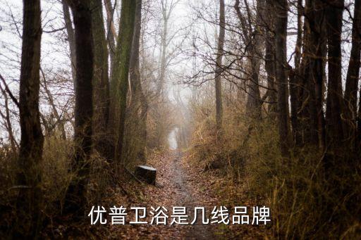 優(yōu)普衛(wèi)浴是幾線品牌