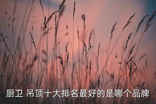 衛(wèi)浴中式吊頂設(shè)計(jì)圖片,中式走廊吊頂效果圖片大全