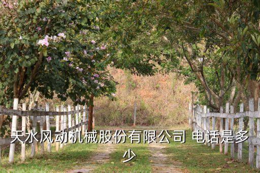 天水風(fēng)動(dòng)機(jī)械股份有限公司 電話是多少