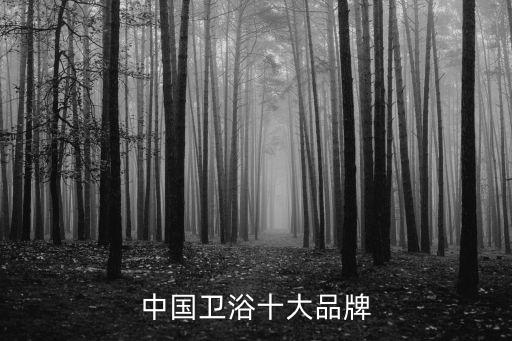 中國衛(wèi)浴十大品牌