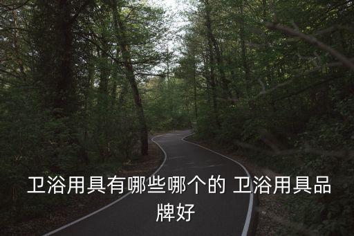  衛(wèi)浴用具有哪些哪個的 衛(wèi)浴用具品牌好