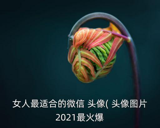 整體衛(wèi)浴頭像圖片女生,惠達(dá)衛(wèi)浴頭像圖片