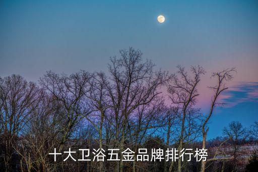 十大衛(wèi)浴五金品牌排行榜