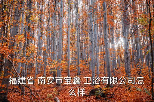 福建省 南安市寶鑫 衛(wèi)浴有限公司怎么樣