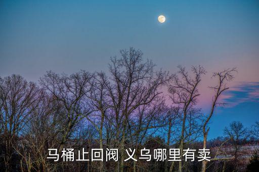 馬桶止回閥 義烏哪里有賣