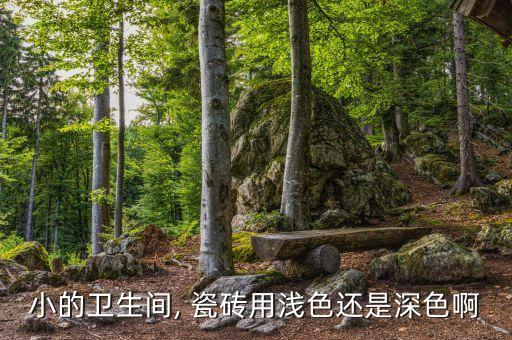 小的衛(wèi)生間, 瓷磚用淺色還是深色啊