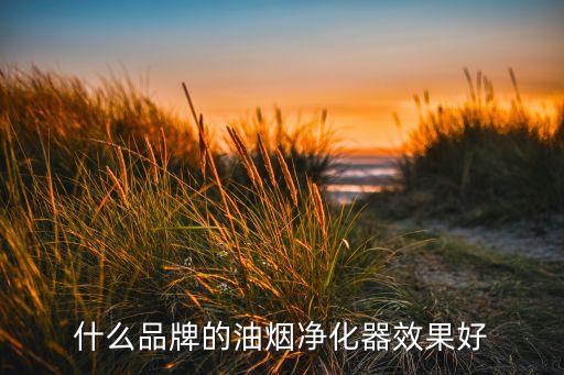 什么品牌的油煙凈化器效果好