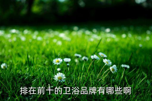 排在前十的衛(wèi)浴品牌有哪些啊